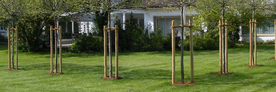 Baumschulen Scheel GbR - Gartengestaltung