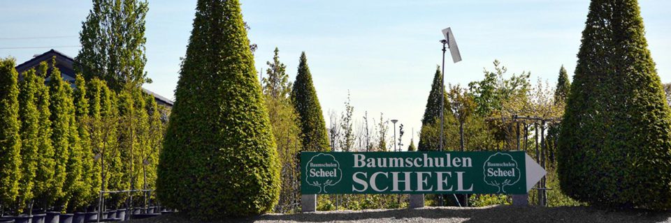 Baumschulen Scheel GbR | Firmengelände