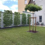 Baumschulen Scheel GbR | Gartengestaltung