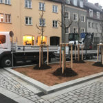 Baumschulen Scheel GbR | Gartengestaltung - Baustelle Bäckergasse Augsburg (Herbst 2018)