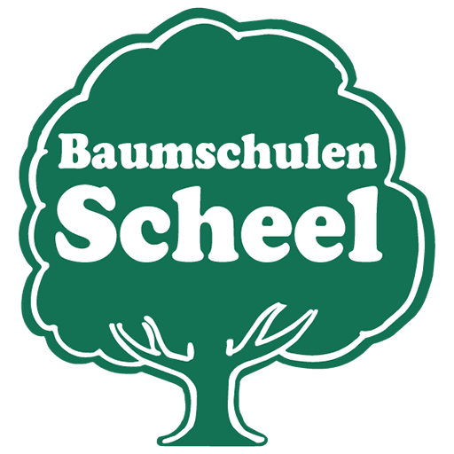 Baumschulen Scheel eGbR Logo