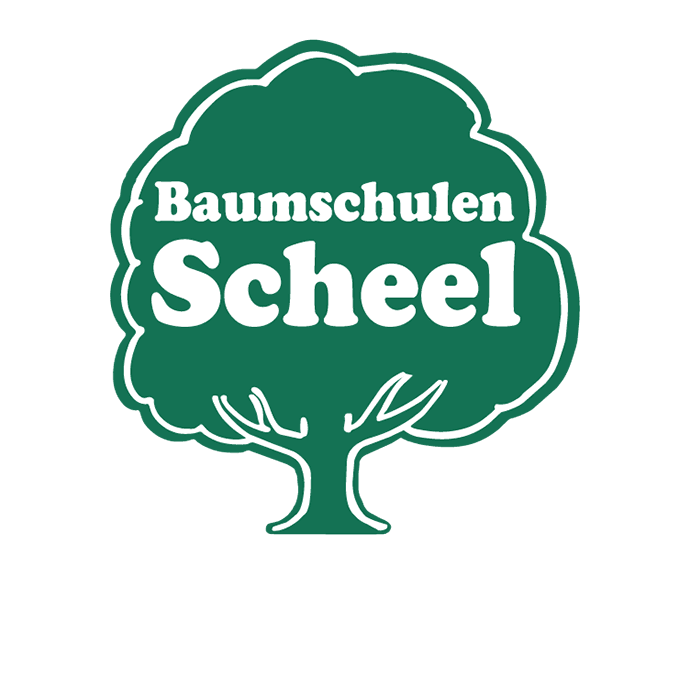 Baumschulen Scheel